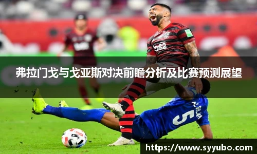 弗拉门戈与戈亚斯对决前瞻分析及比赛预测展望